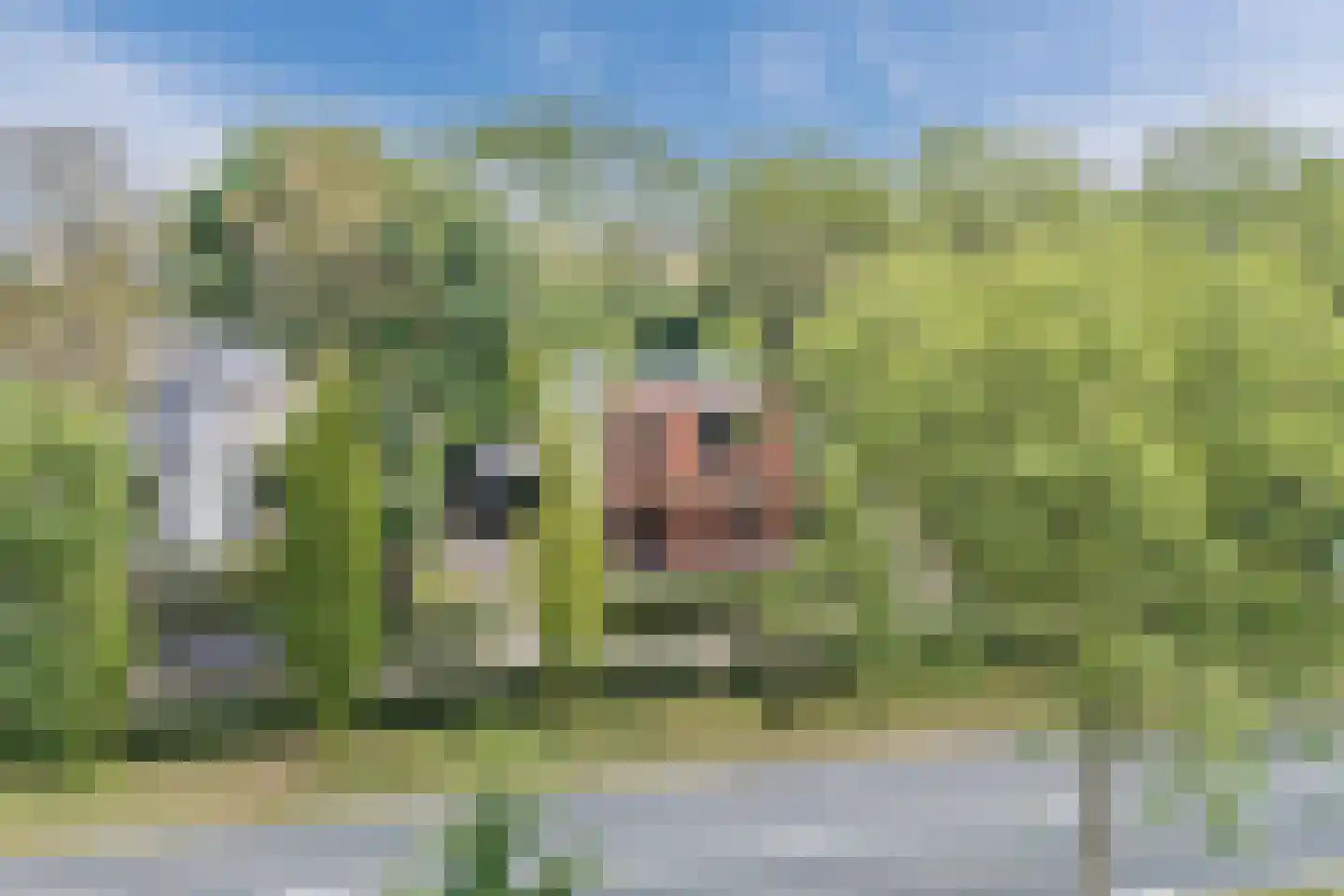 De Langeweg 56 Langeweg thumbnail 58