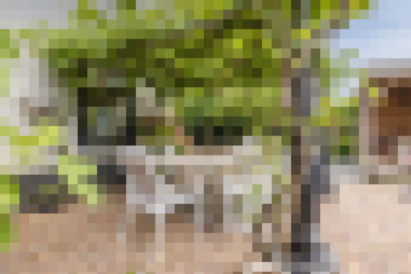 De Langeweg 56 Langeweg thumbnail 61