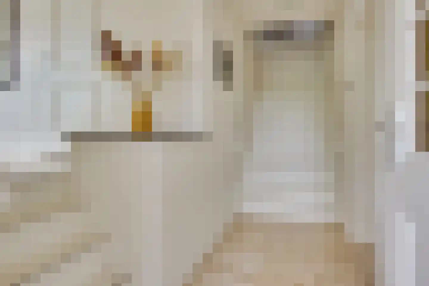 De Langeweg 74 Zevenbergschen Hoek thumbnail 17