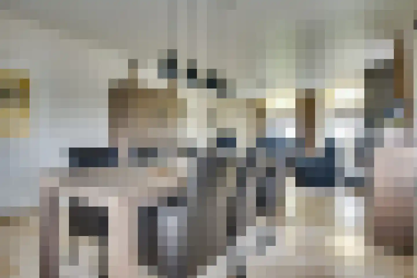 De Langeweg 74 Zevenbergschen Hoek thumbnail 18
