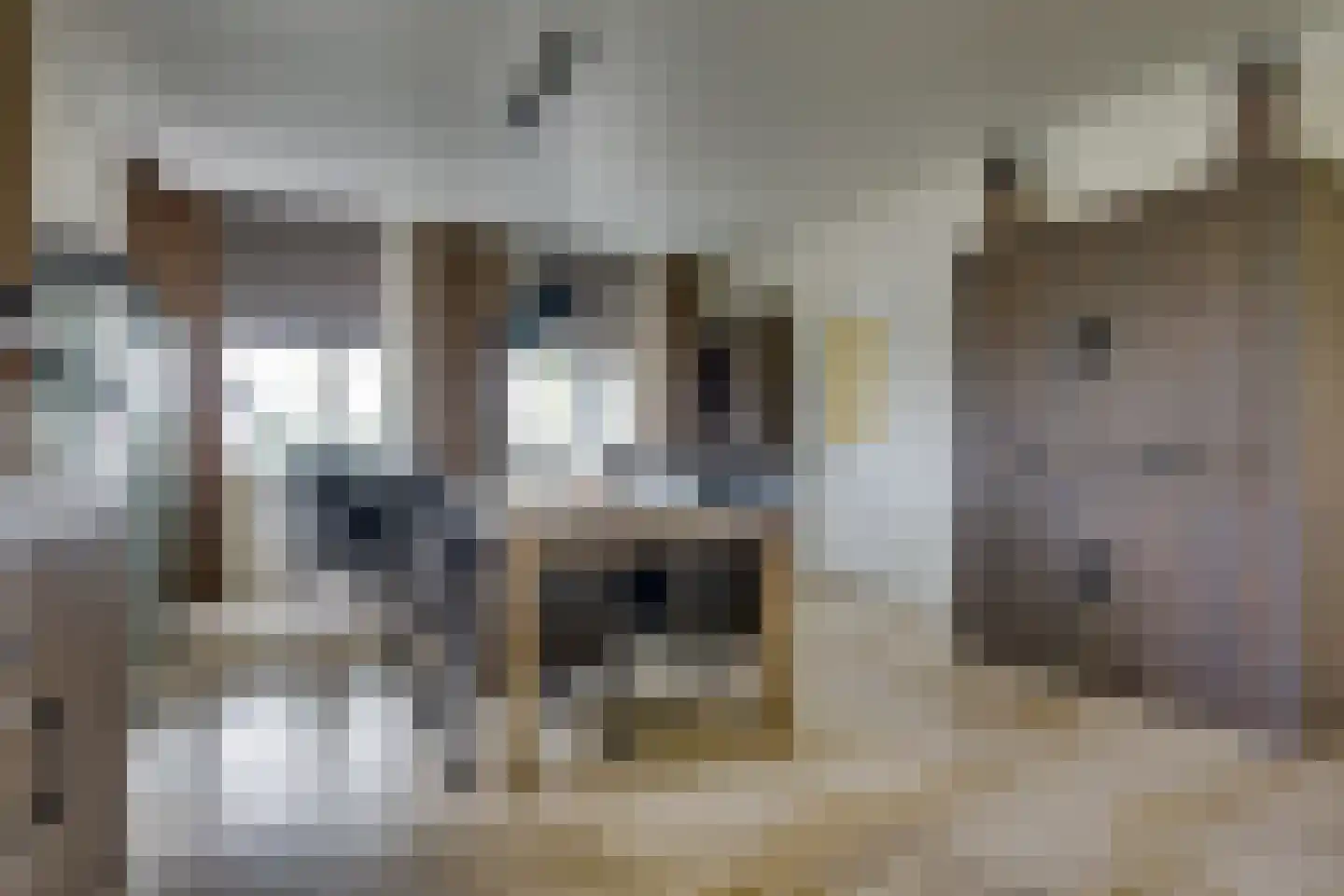 De Langeweg 74 Zevenbergschen Hoek thumbnail 19