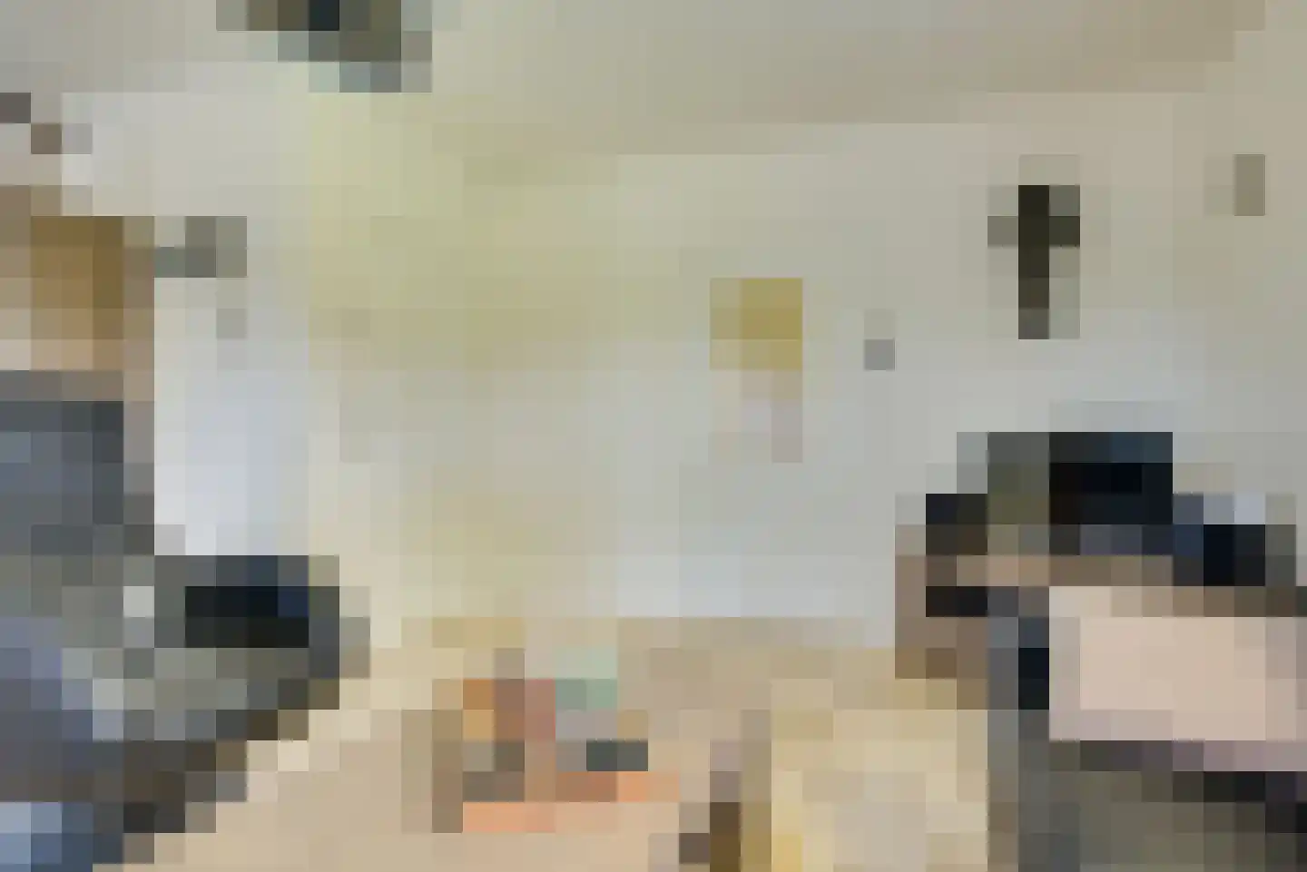 De Langeweg 74 Zevenbergschen Hoek thumbnail 22
