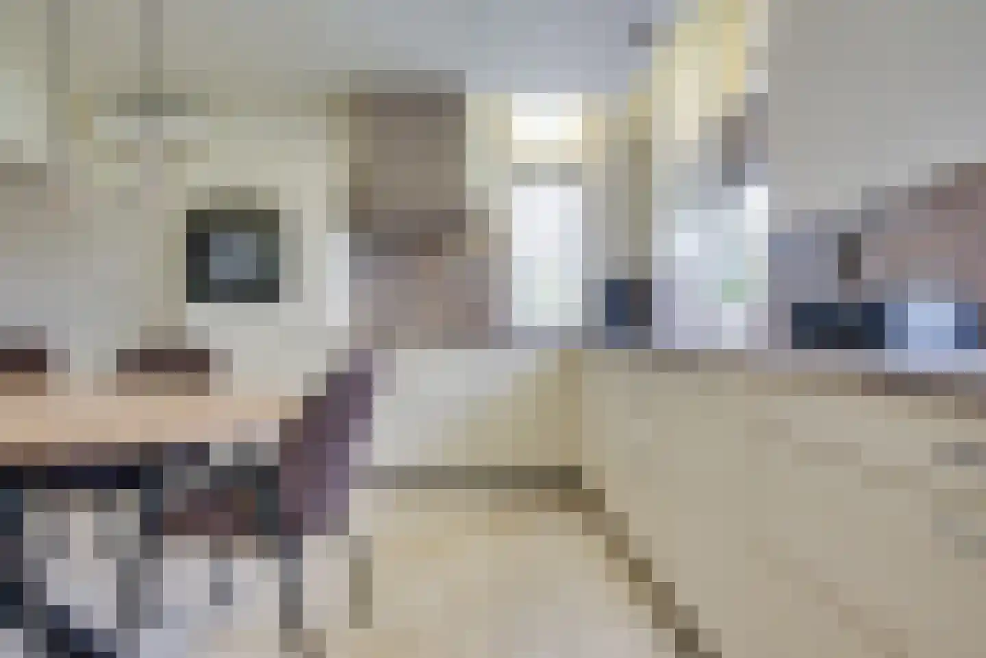 De Langeweg 74 Zevenbergschen Hoek thumbnail 24
