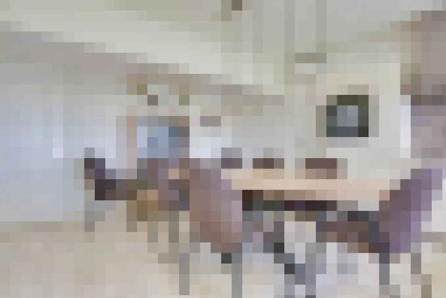 De Langeweg 74 Zevenbergschen Hoek thumbnail 25