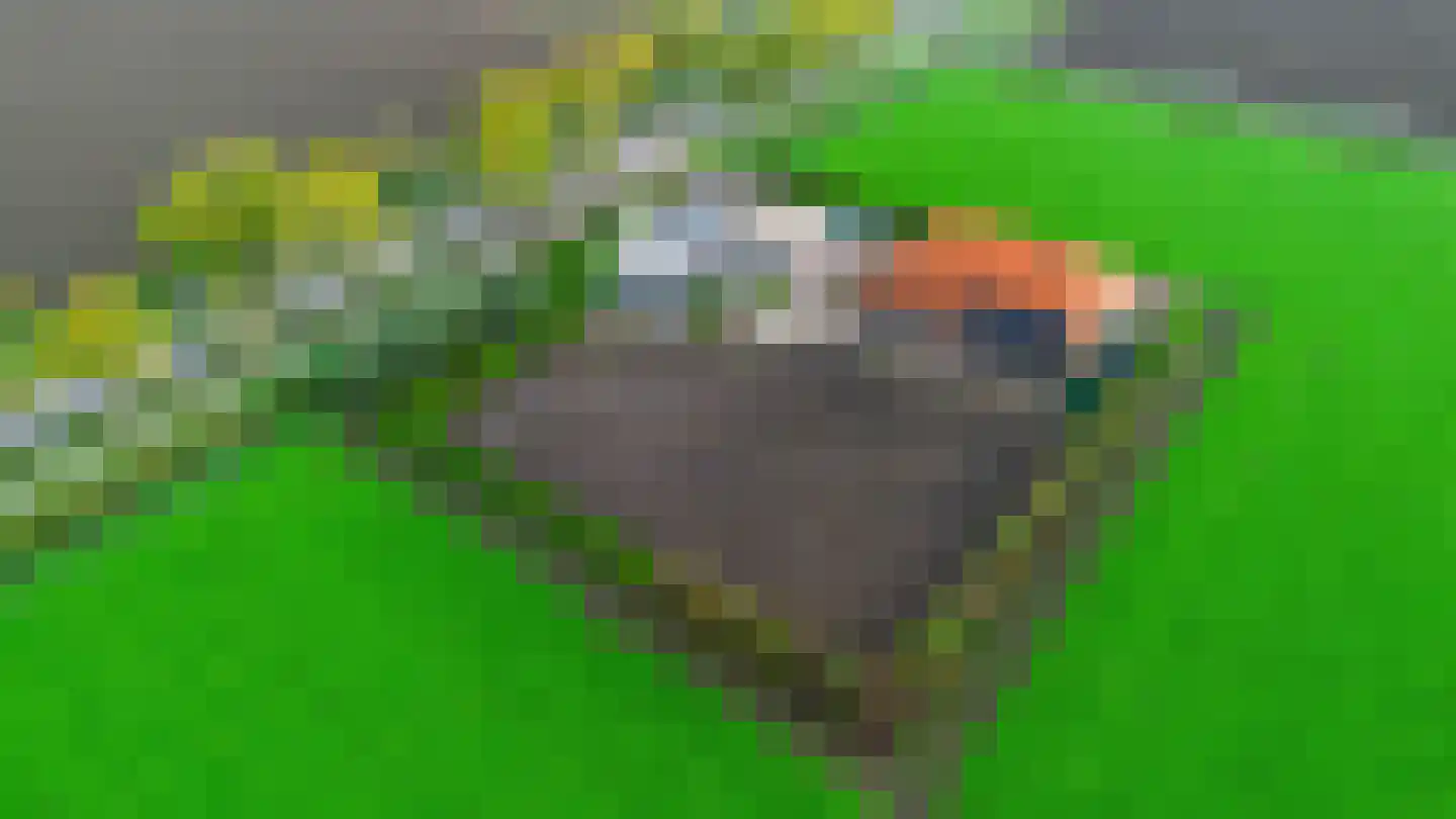 De Langeweg 74 Zevenbergschen Hoek thumbnail 4