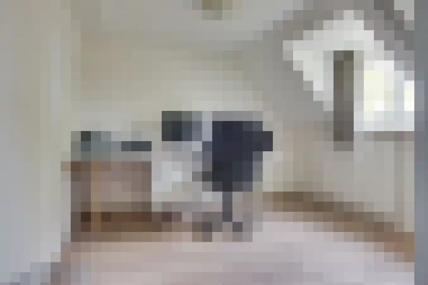 De Langeweg 74 Zevenbergschen Hoek thumbnail 47