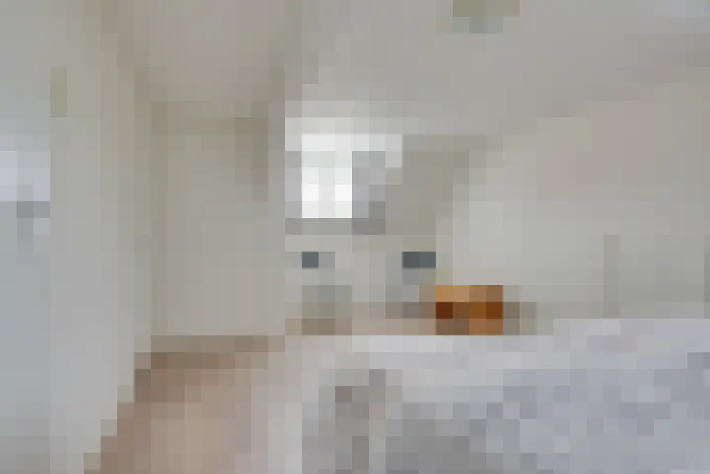 De Langeweg 74 Zevenbergschen Hoek thumbnail 48