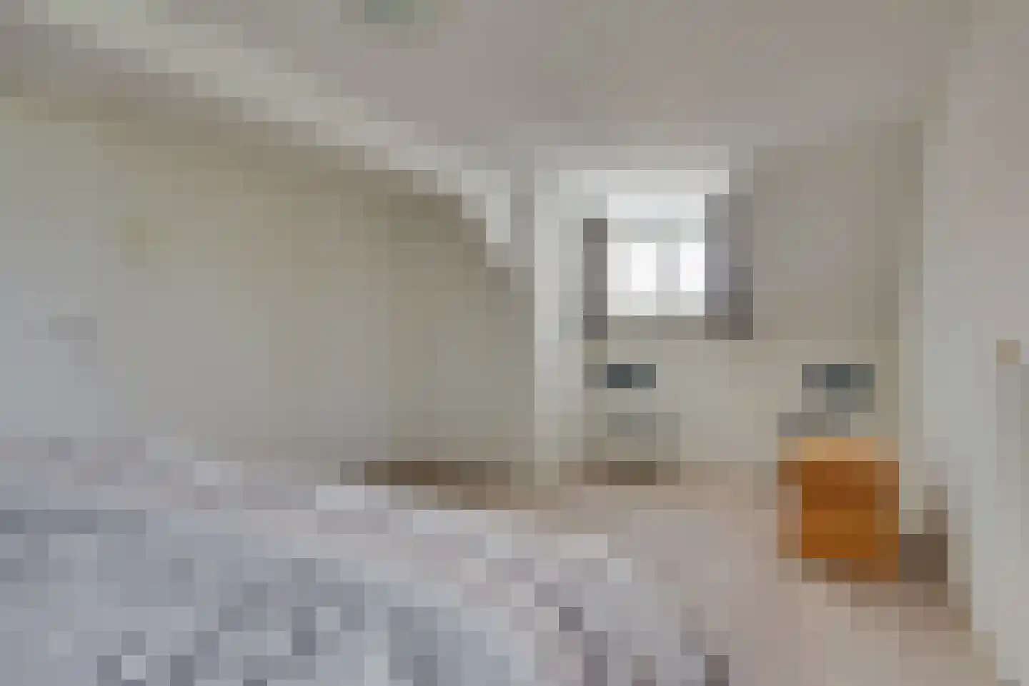 De Langeweg 74 Zevenbergschen Hoek thumbnail 49
