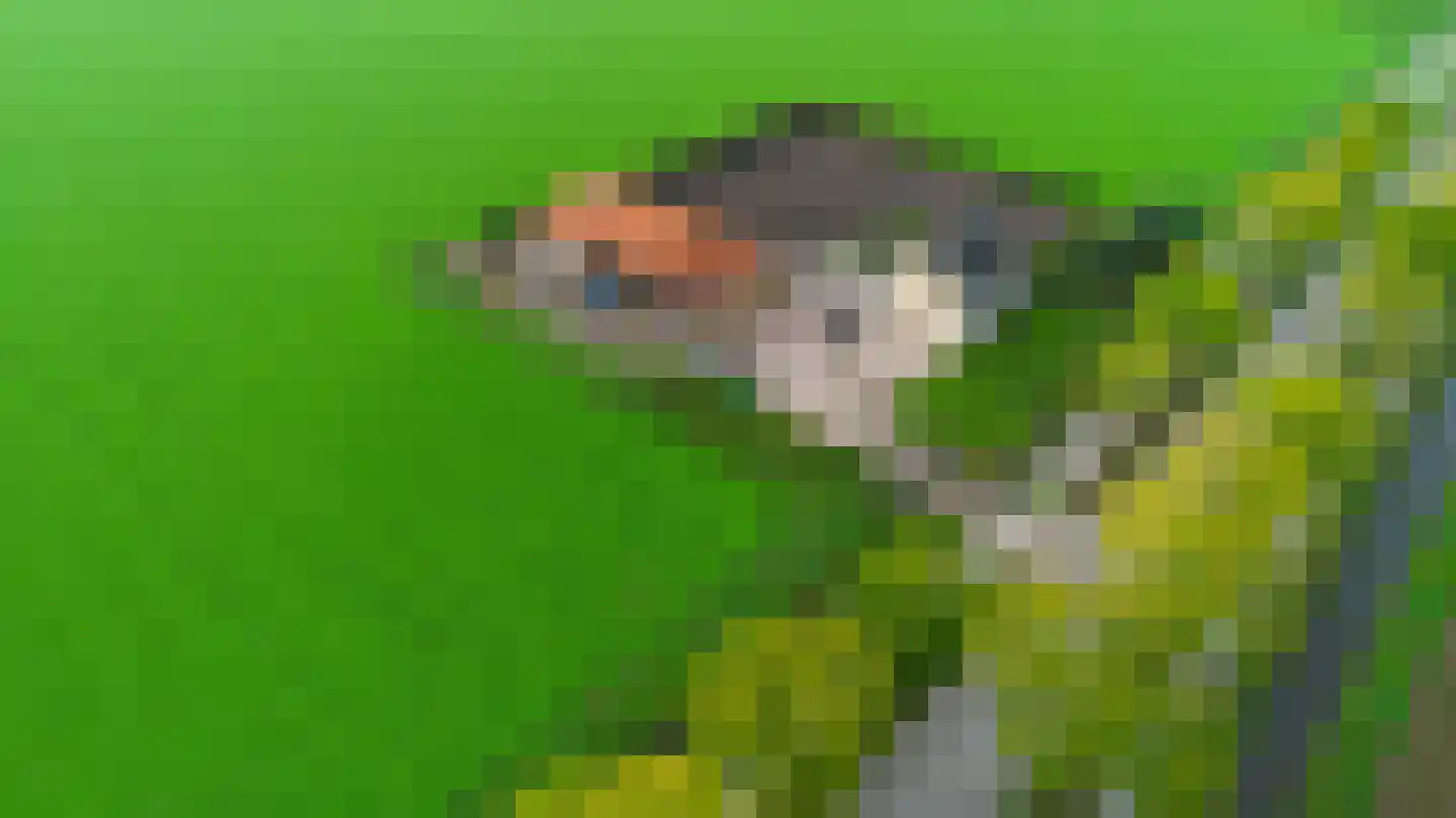 De Langeweg 74 Zevenbergschen Hoek thumbnail 7