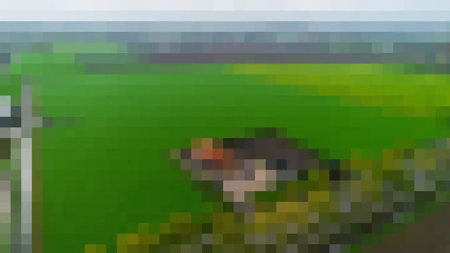 De Langeweg 74 Zevenbergschen Hoek thumbnail 8