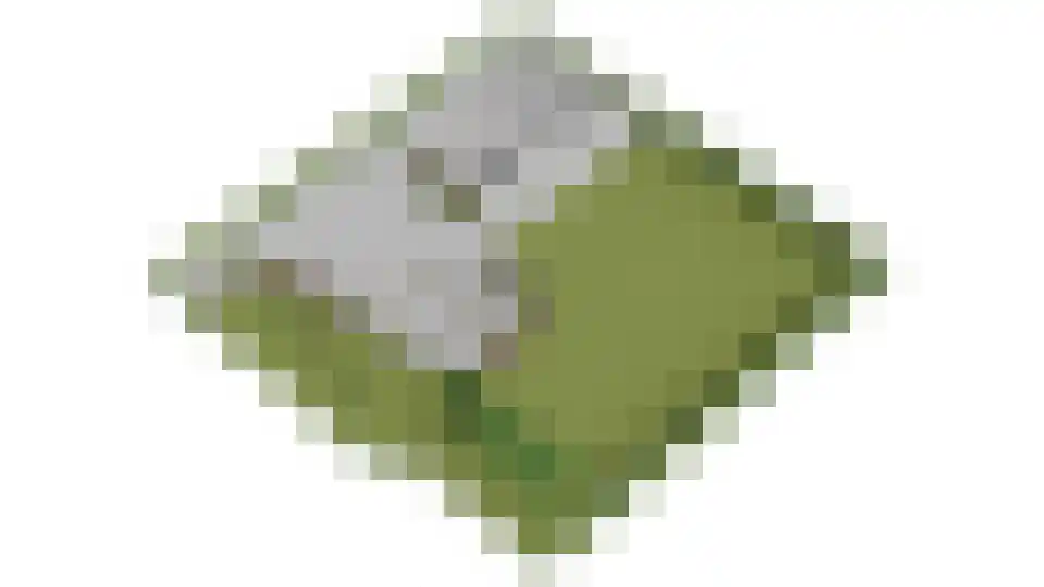 De Langeweg 74 Zevenbergschen Hoek thumbnail 89