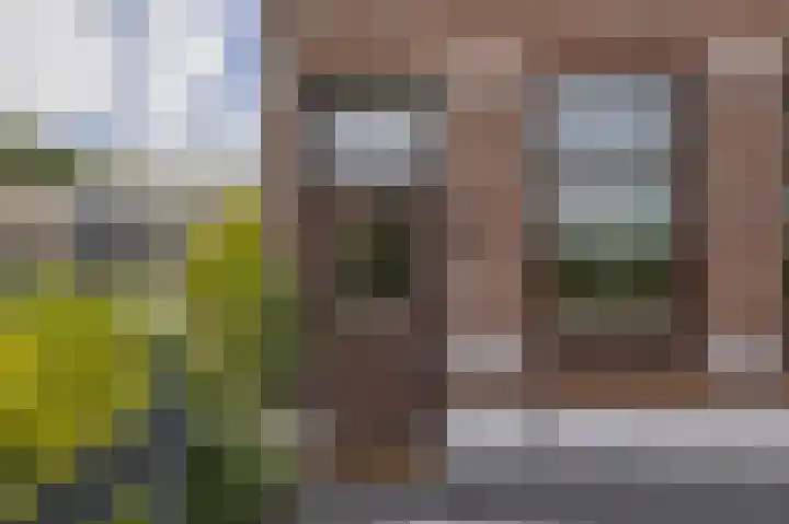 De Langeweg 8 Zevenbergen thumbnail 10