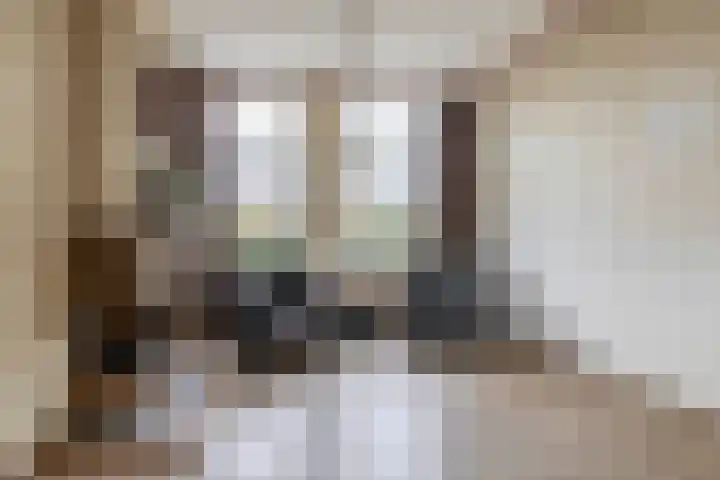 De Langeweg 8 Zevenbergen thumbnail 12