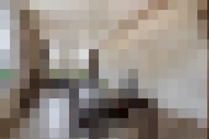 De Langeweg 8 Zevenbergen thumbnail 14