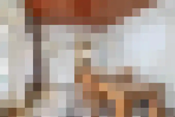 De Langeweg 8 Zevenbergen thumbnail 23