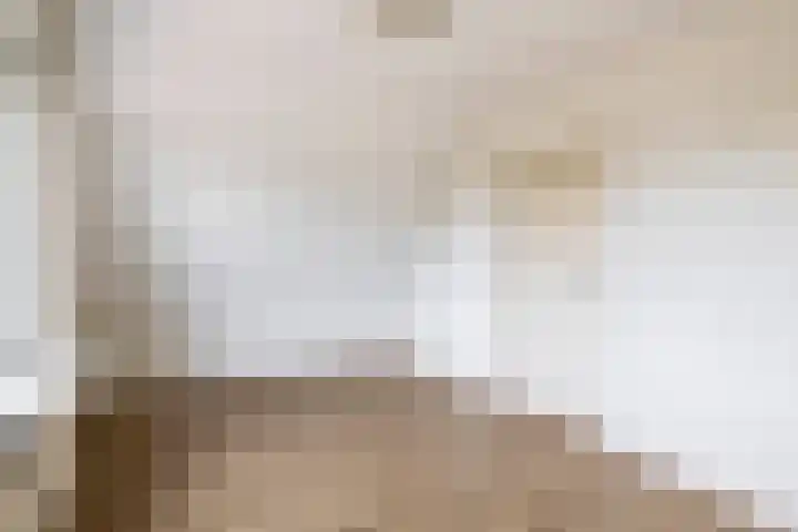 De Langeweg 8 Zevenbergen thumbnail 28