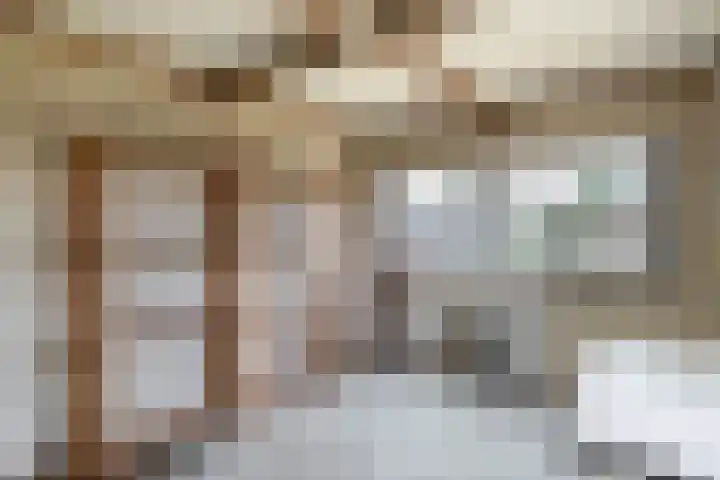 De Langeweg 8 Zevenbergen thumbnail 37