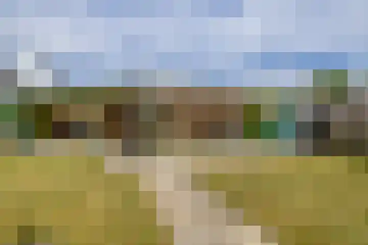 De Langeweg 8 Zevenbergen thumbnail 4
