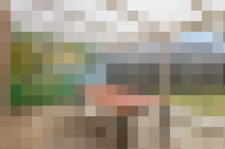 De Langeweg 8 Zevenbergen thumbnail 40