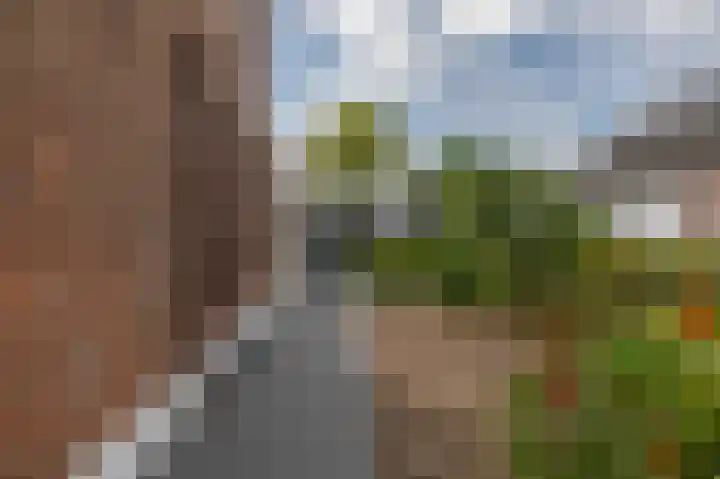 De Langeweg 8 Zevenbergen thumbnail 42