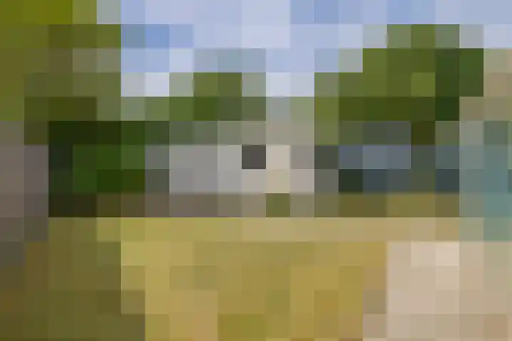 De Langeweg 8 Zevenbergen thumbnail 43