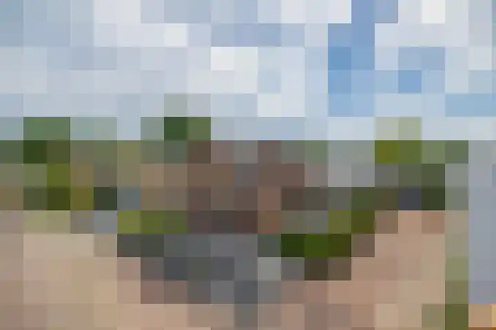 De Langeweg 8 Zevenbergen thumbnail 8