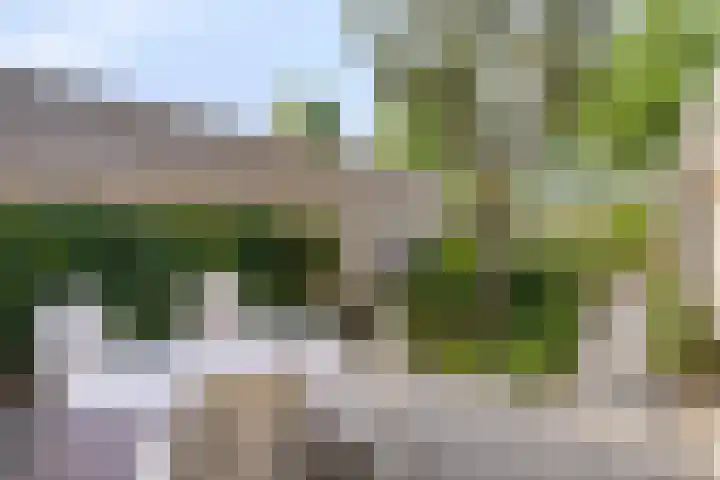 de Langveter 29 Valkenswaard thumbnail 33