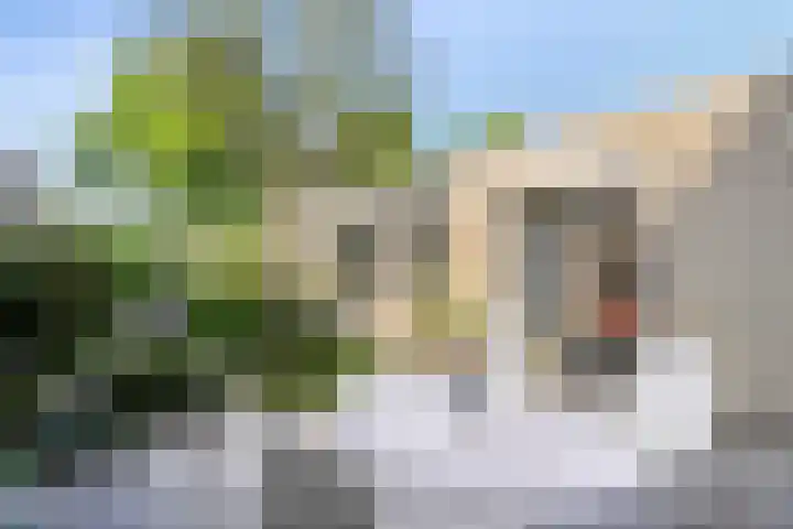 de Langveter 29 Valkenswaard thumbnail 34