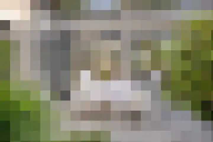 de Langveter 29 Valkenswaard thumbnail 35