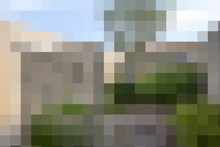 de Langveter 29 Valkenswaard thumbnail 36