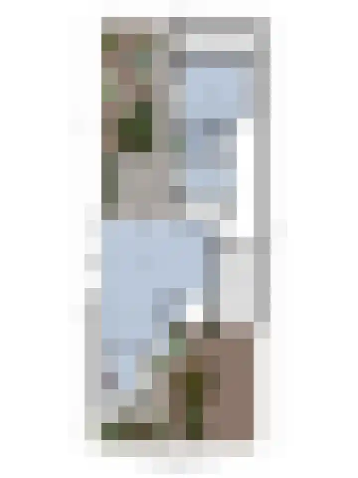 de Langveter 29 Valkenswaard thumbnail 38