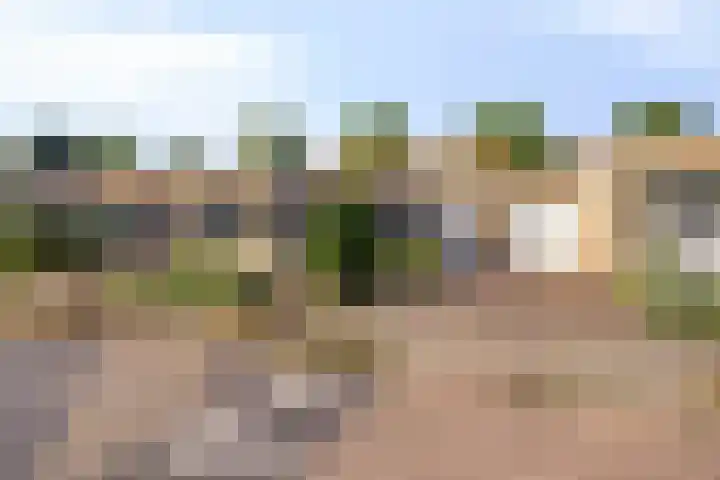 de Langveter 29 Valkenswaard thumbnail 6