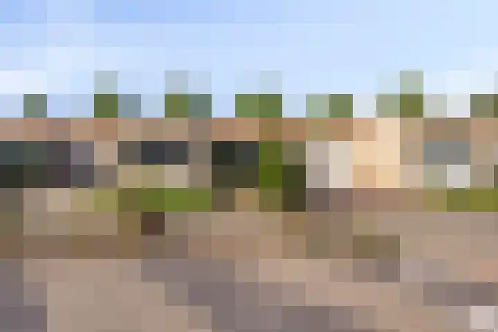 de Langveter 29 Valkenswaard thumbnail 7