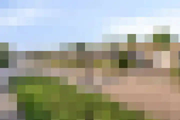 de Langveter 29 Valkenswaard thumbnail 8