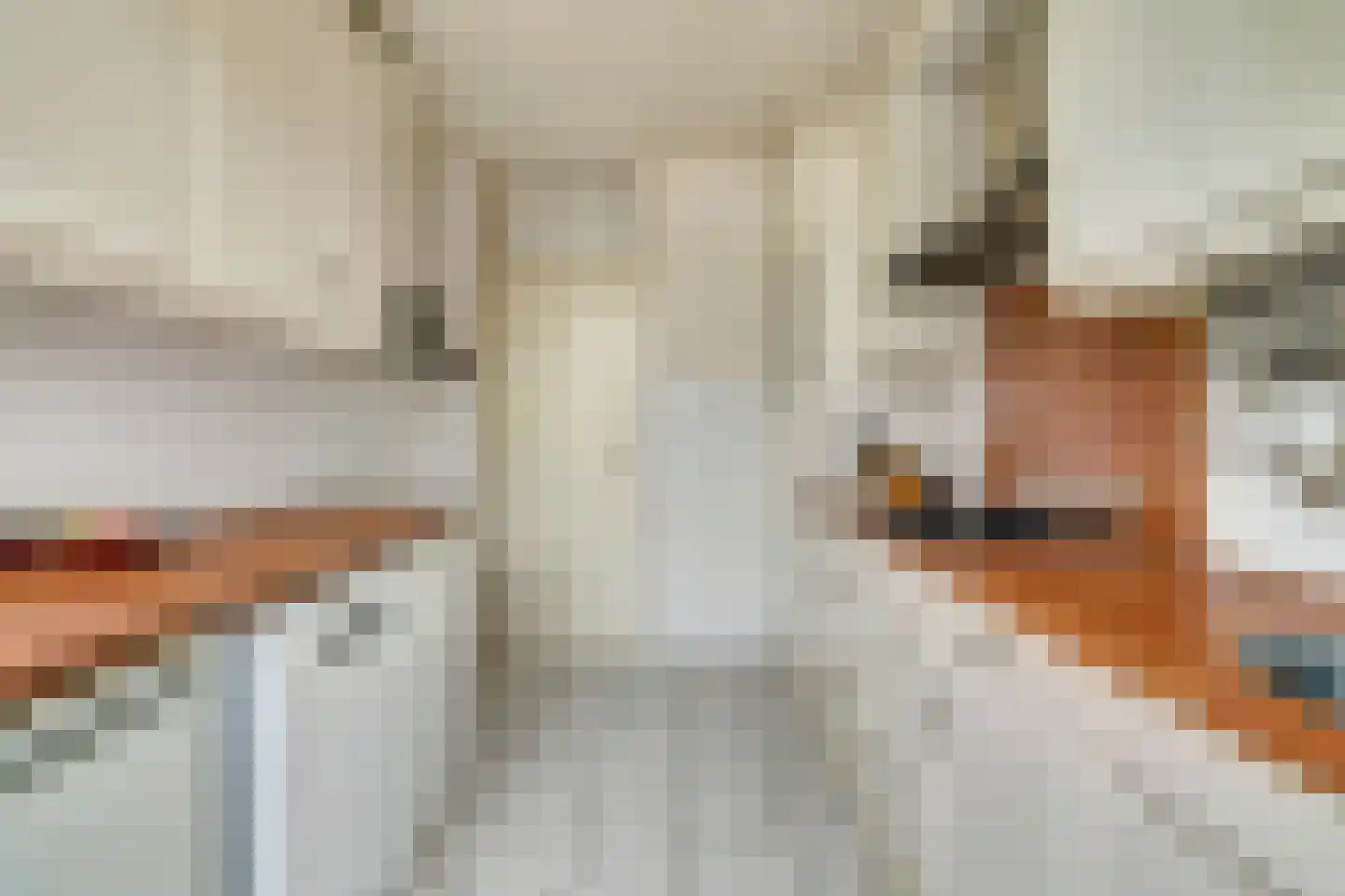 de Lannoystraat 13 Geertruidenberg thumbnail 11