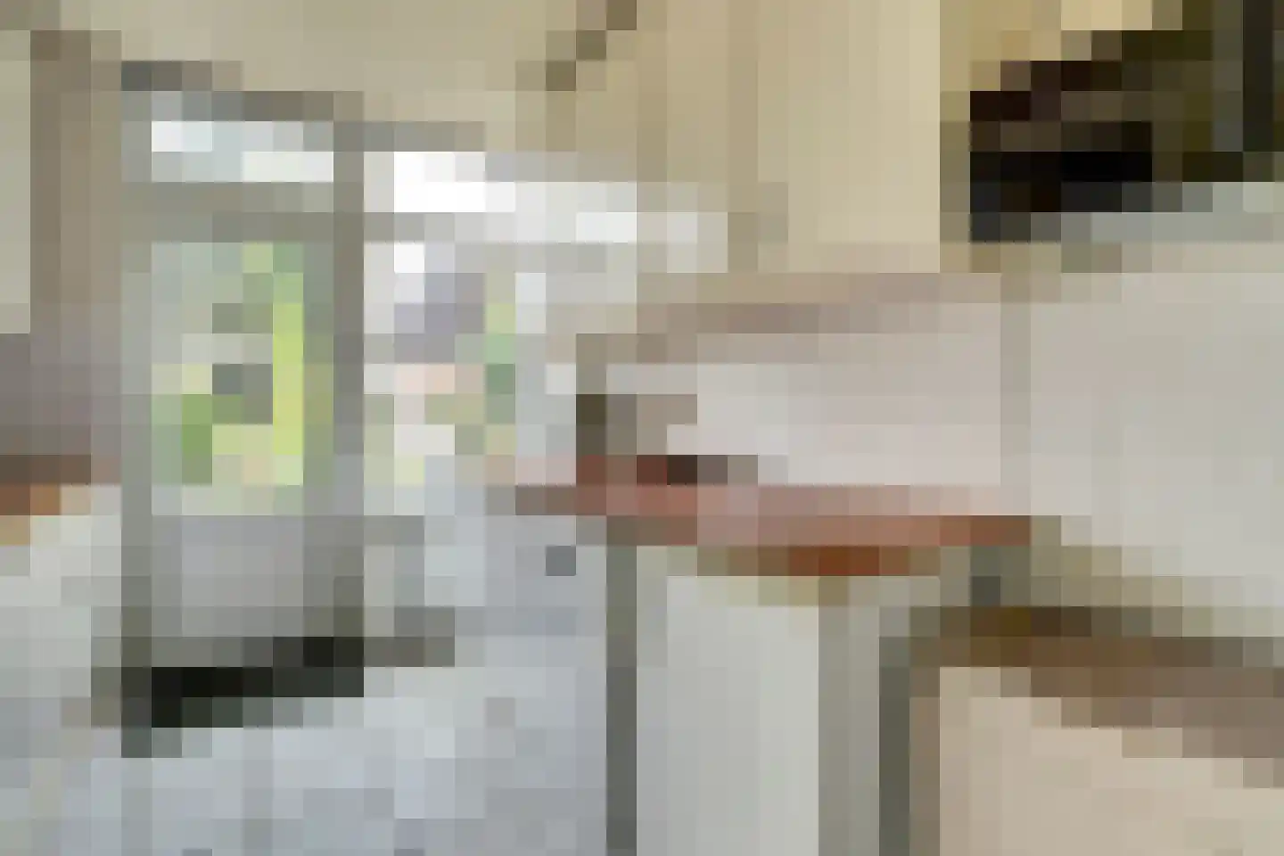 de Lannoystraat 13 Geertruidenberg thumbnail 12
