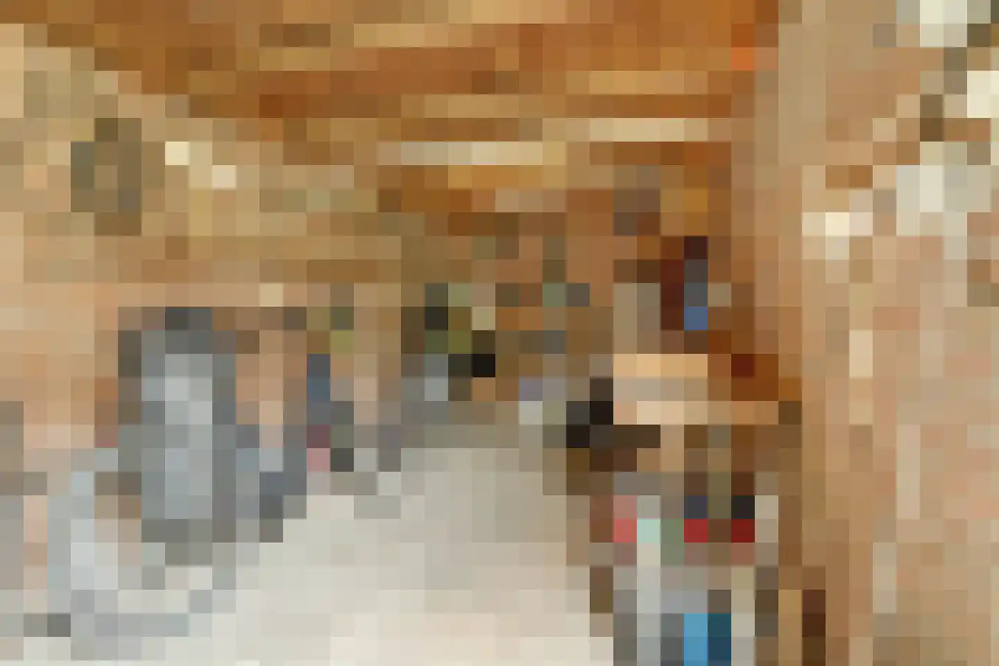 de Lannoystraat 13 Geertruidenberg thumbnail 25
