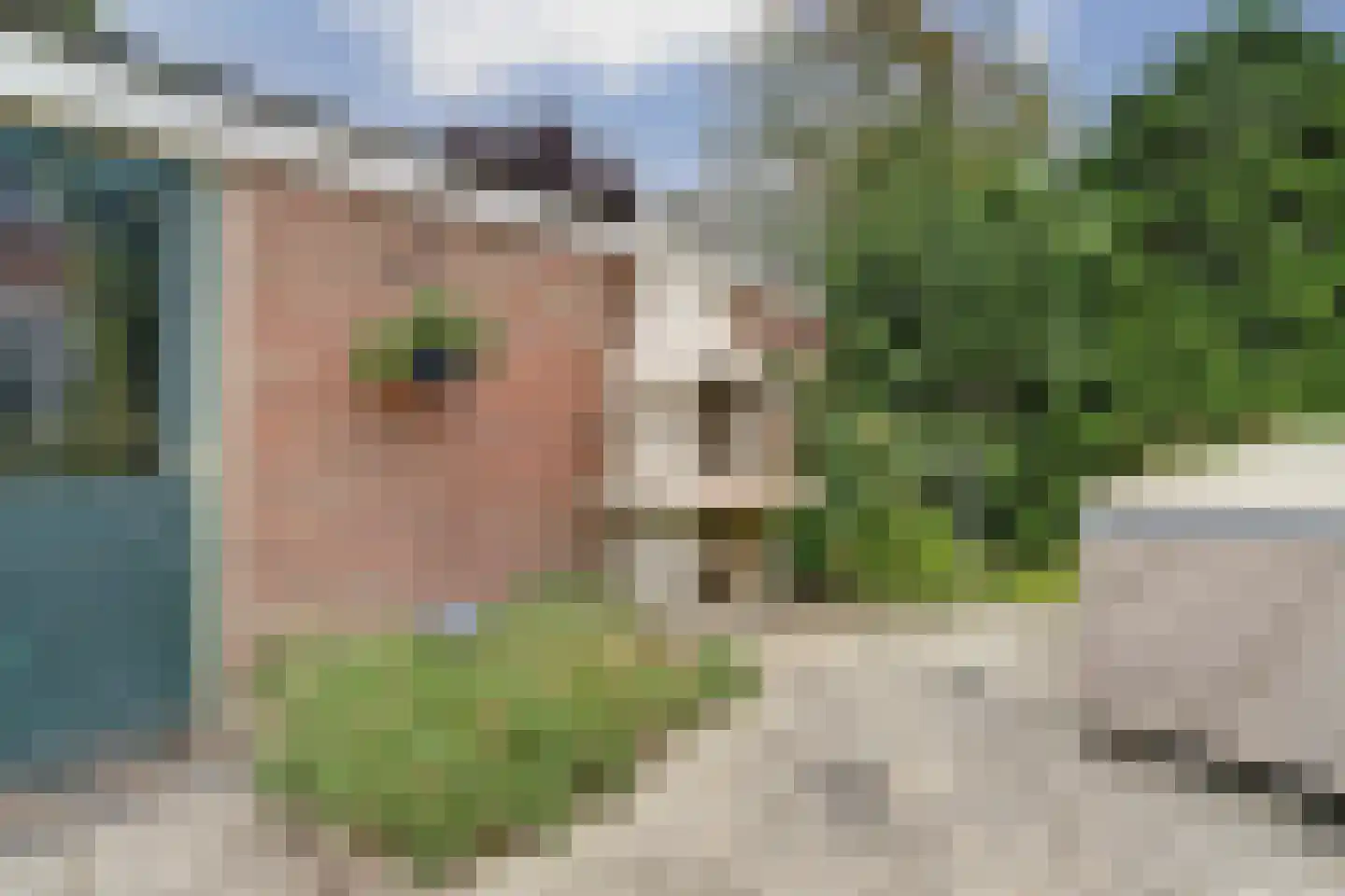 de Lannoystraat 13 Geertruidenberg thumbnail 33