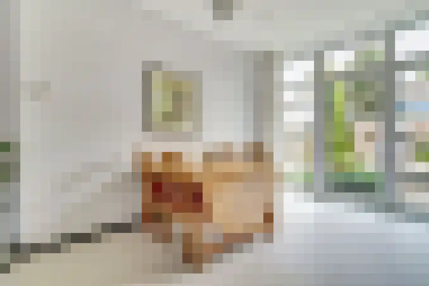 de Lannoystraat 13 Geertruidenberg thumbnail 7