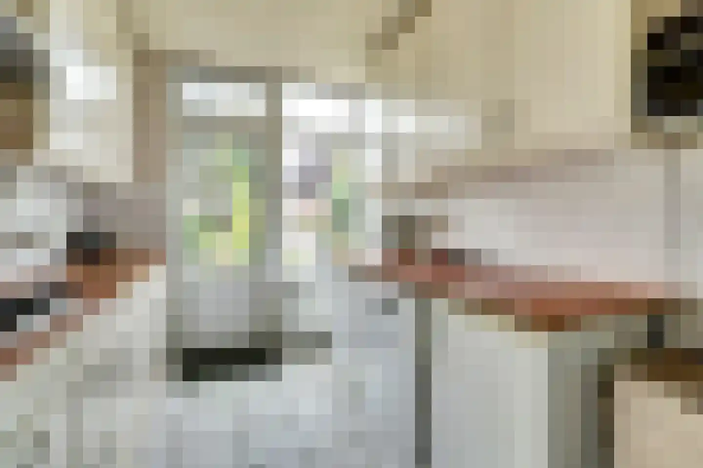 de Lannoystraat 13 Geertruidenberg thumbnail 9