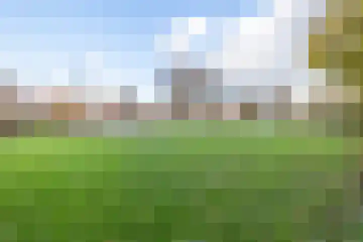 De Lannoystraat 15 Vlissingen thumbnail 7