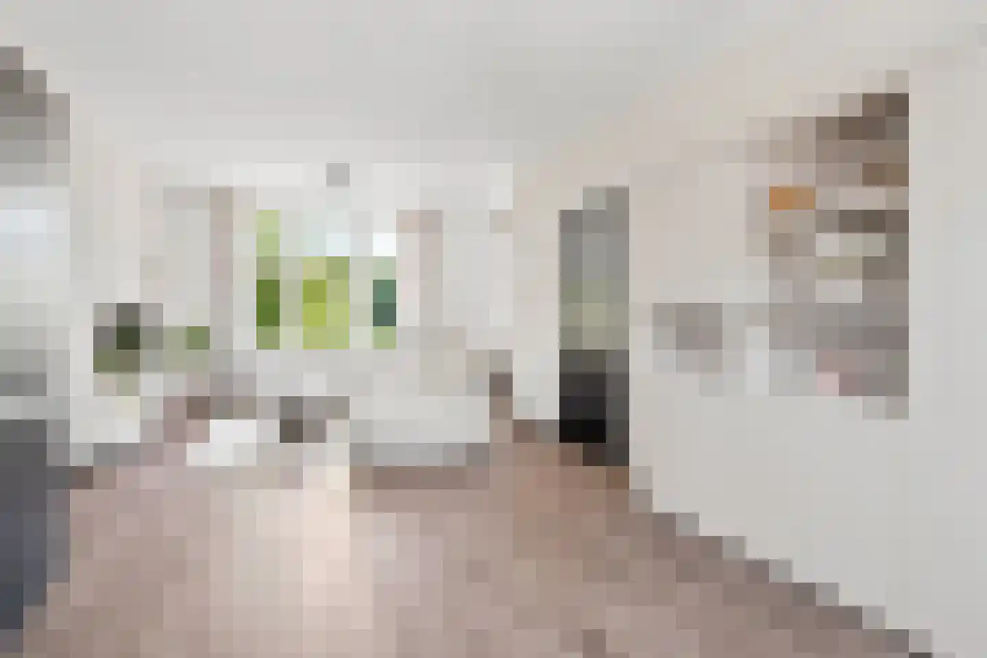 De Lannoystraat 5 a Vlissingen thumbnail 16