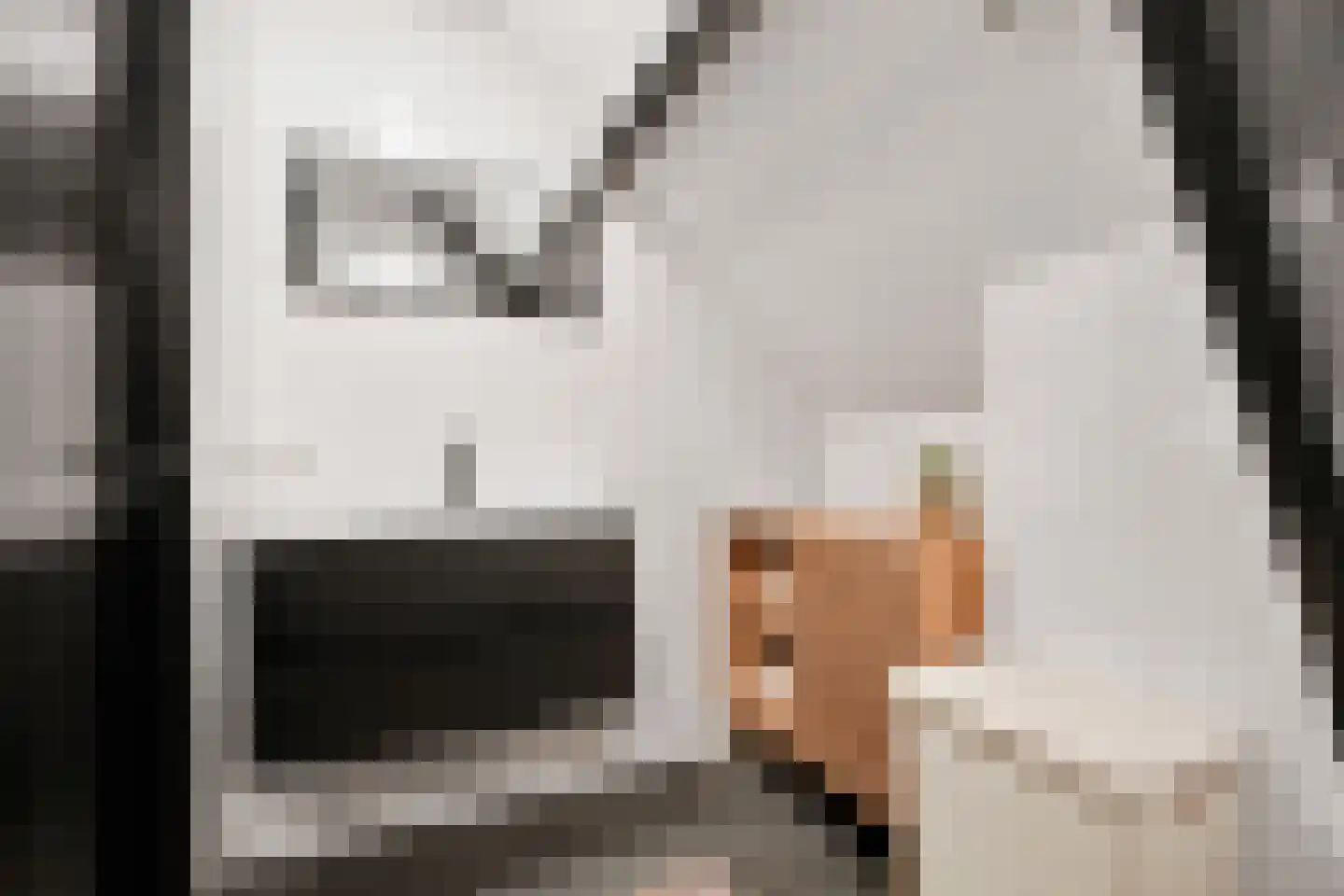 De Lannoystraat 5 a Vlissingen thumbnail 33
