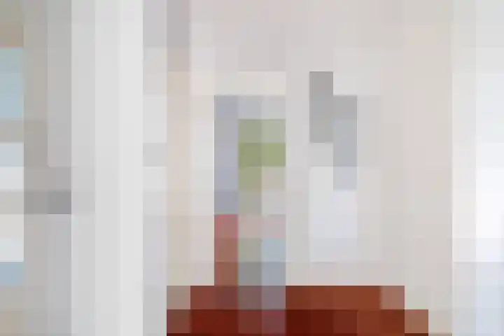 De Lannoystraat 6 Den Haag thumbnail 32