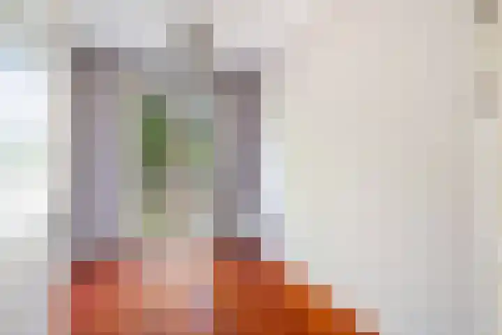 De Lannoystraat 6 Den Haag thumbnail 33