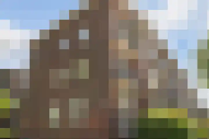 De Lannoystraat 6 Den Haag thumbnail 42