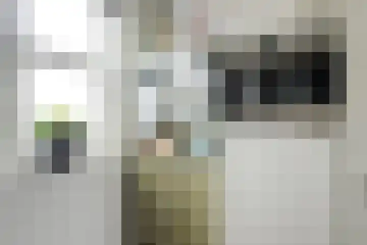 De Lansing 23 Benschop thumbnail 10