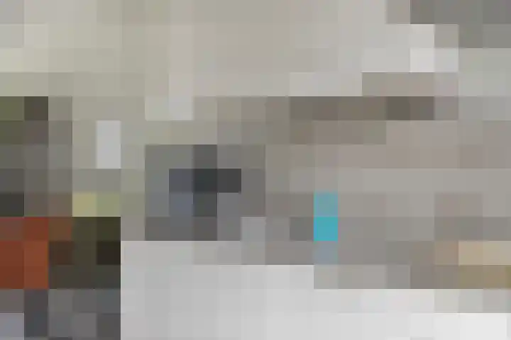 De Lansing 23 Benschop thumbnail 11