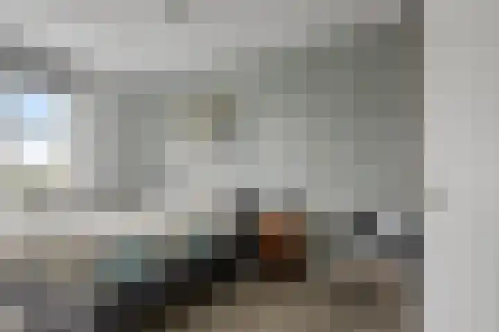De Lansing 23 Benschop thumbnail 13