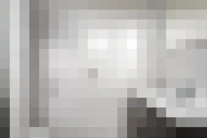 De Lansing 23 Benschop thumbnail 18